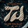 Truth x Lies, VANRIP - I Like You A Lot (ft Weird Grrl)