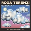 Hue & Saturation Mix 024: Roza Terenzi DJ mix artwork - Electronic music tracklist cover image