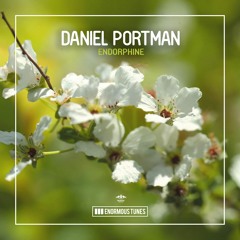 Daniel Portman - Endorphine ( Date of release 14-5-2021 )