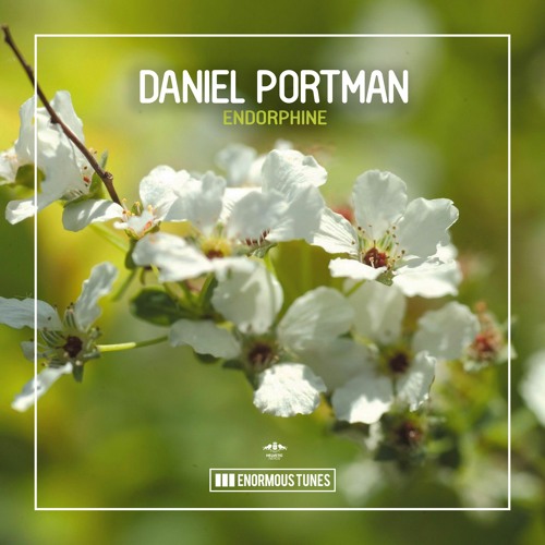 Daniel Portman - Endorphine ( Date of release 14-5-2021 )