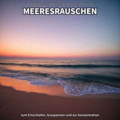Beflügelnde Küstenstimmung