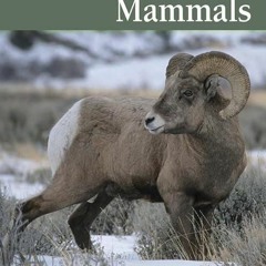 READ ❤️EBOOK (✔️PDF✔️) The Guide to Colorado Mammals