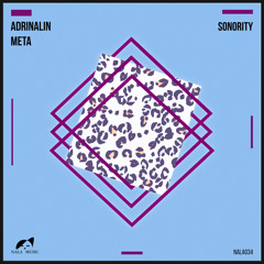 PREMIERE: Adrinalin & Meta - Noises Black (Original Mix) [Nala Music]
