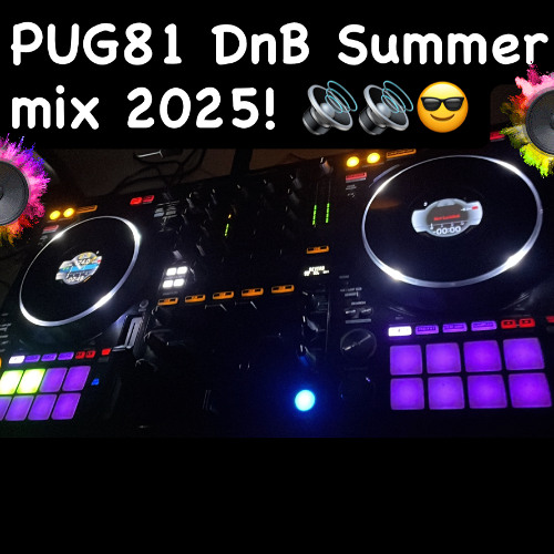 PUG81 DnB Summer mix 2025 🔊🎶 🦁 🌴 ☄️ 😎