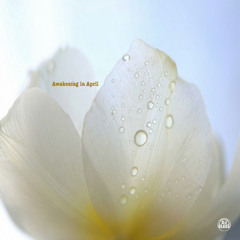 02. First Sunlight of Spring