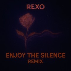 Enjoy the silence RIOK DPMRemix