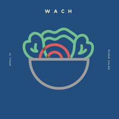 Mixed Salad • ⌈April 19⌋