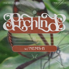 Nems-B  – Perchéland #41