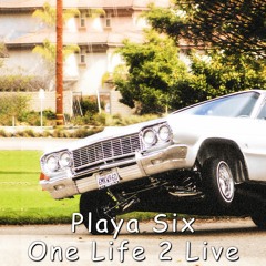 One Life 2 Live(C&S)