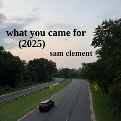 what you came for (2025)