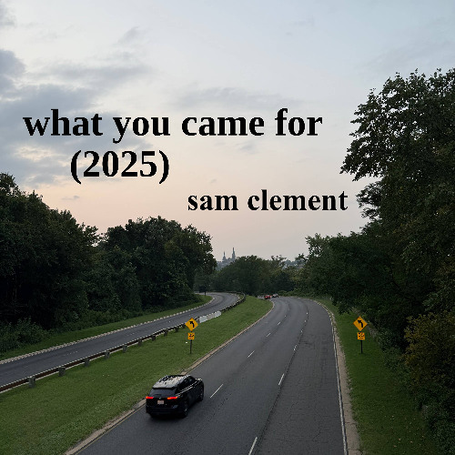 what you came for (2025)