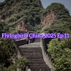 Teaser FlyIngbirD China 2025 Ep.11