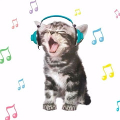 dance dance dance