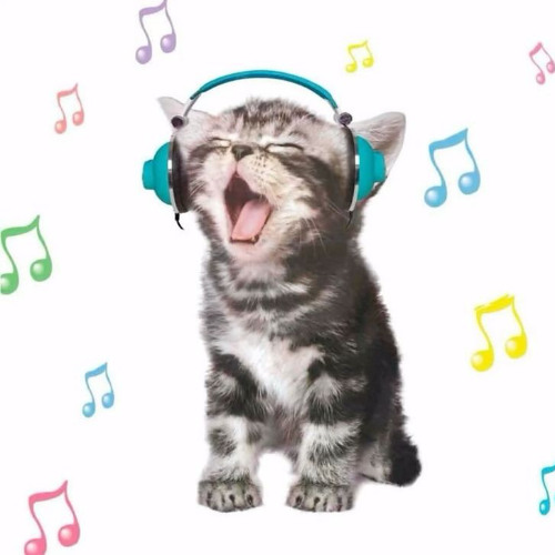 dance dance dance
