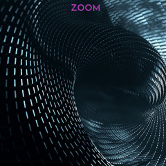 ZOOM