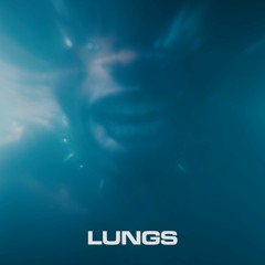LUNGS