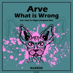 ARVE- WHATS IS WRONG (ORIGINAL MIX)