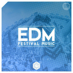 EDM FESTIVAL MUSIC