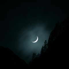 Voices in the Night Tiutiunnik by Katia Tiutiunnik, poetry by Lucy Aponte