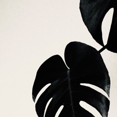 Coincidence (Warm Edit)