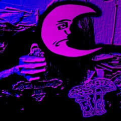DON'T EAT THE MUSHROOMS (Drunken Mix)