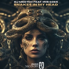 Snakes In My Head (feat. Iris Goes)