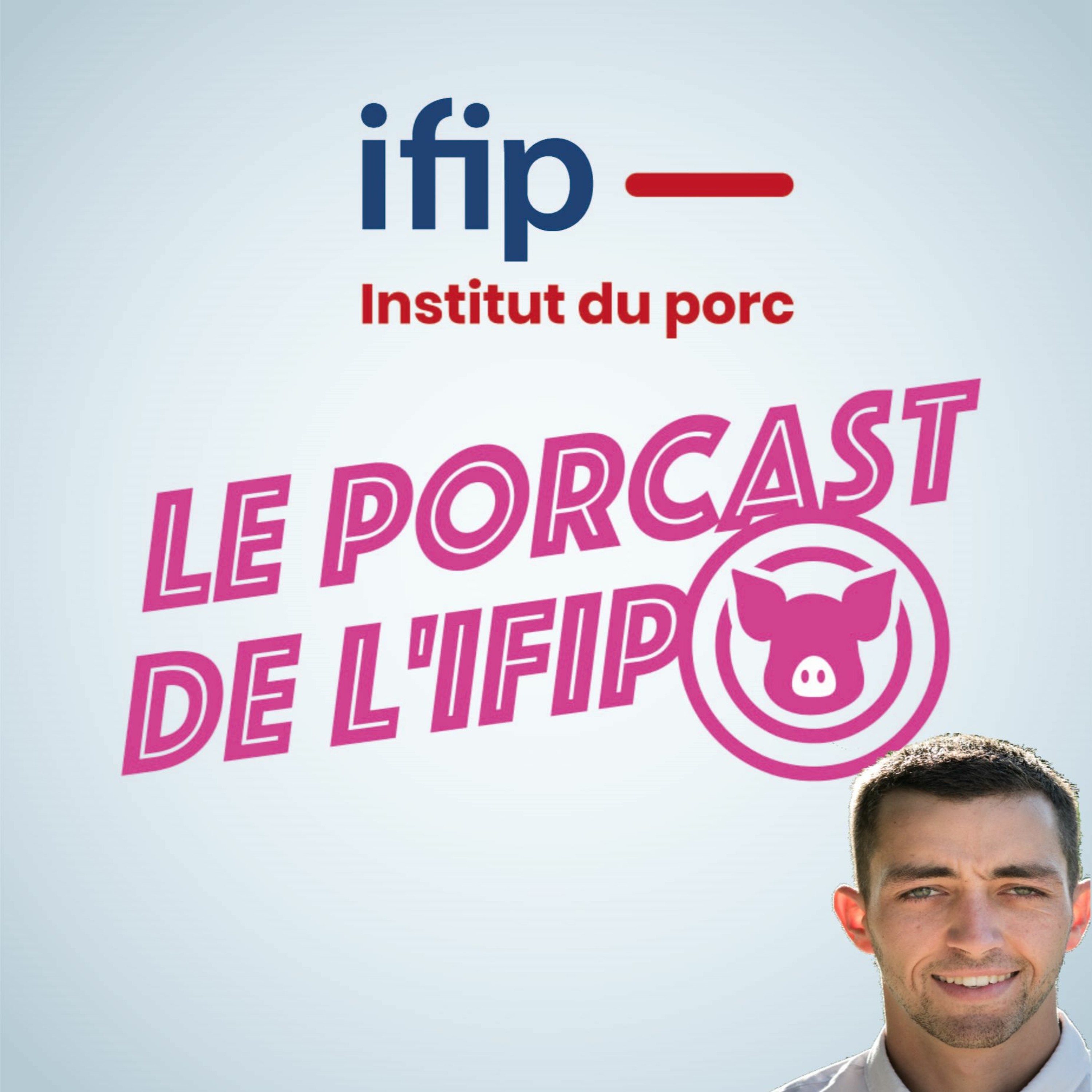 Les caméras en élevage de porcs, des débuts prometteurs. episode artwork