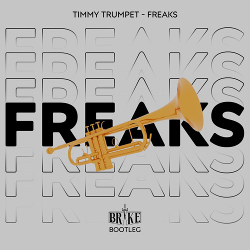Timmy Trumpet - Freaks (E-Brake Bootleg)