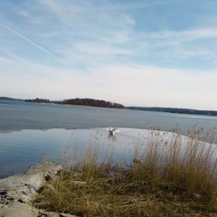 Winter Into Spring (midi demo)