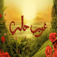 TUL8TE - Ghareeb Haly I تووليت - غريب حالي