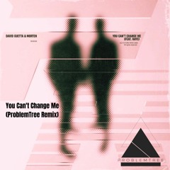 David Guetta & Morten Feat. Raye - You Can't Change Me (ProblemTree Remix)