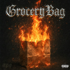 Grocery Bag - TPG Leel