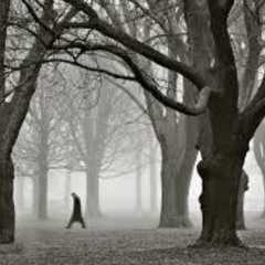 All To Their Place - The CCInventive