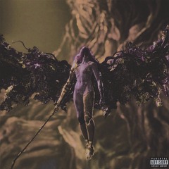 the anwser to this beautiful mess is and always has been love (sped up) (prod.wetgropes)