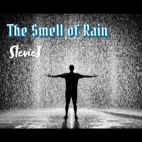 Stream The Smell of Rain by StevieJ Listen online for free on SoundCloud