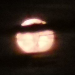 Aufnahme live tech caustic tab