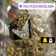 704K + KUTTAA2X+ DUMRAX - BOUTDHABAGG #KUF PROD FVKKK12 x ALIENPRYNCESS