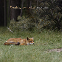 Outside, my shelter