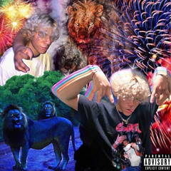 WildCat [prod beastbylouis]