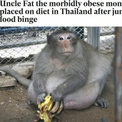 Forbidden Monke (Forbidden Fruit by J. Cole x Bloons TD4 Main Theme)