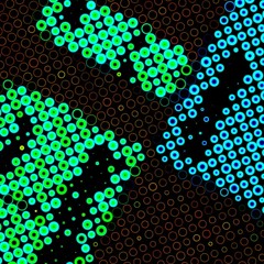 that one night in manhattan