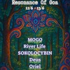 Sokolocybin - Resonance Of Goa - Night to Dawn - 13.6.2025 DJ mix artwork - Electronic music tracklist cover image