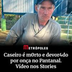 Link Original Portal Zacarias Onça Pega Caseiro No Pantanal