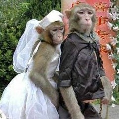 TAL DA GLOCK RAJADA VS BOCA DO MATO 2021 [ DJ LIPE DE CABO FRIO ] MC ZAN