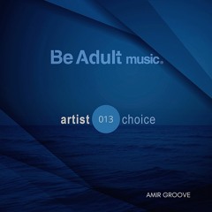Artist Choice 013 - Amir Groove (continuous mix)