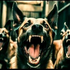 Sweet hounds from hell (new version)