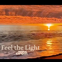 Feel the Light