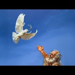 GIẤC MƠ CỦA NOAH - Rick