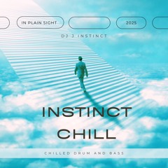 Dj J Instinct - In Plain Sight Feat. Brandy Chello
