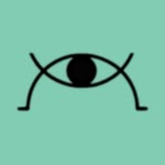 Case for Vision Jingle